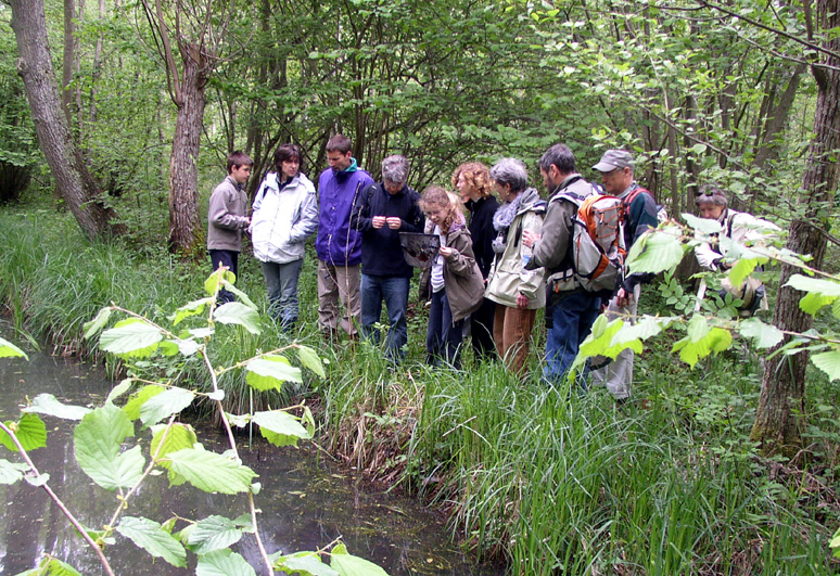 2009 Marais de la Voise 09